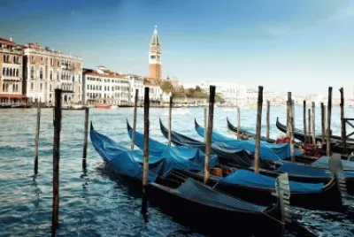 various photos jigsaw puzzle