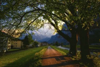 various photos jigsaw puzzle