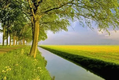 views jigsaw puzzle