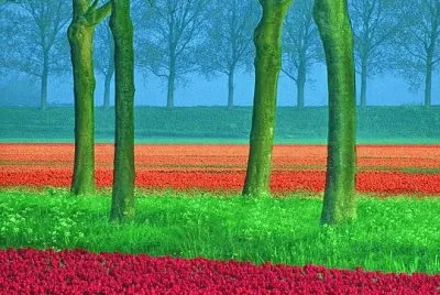 views jigsaw puzzle
