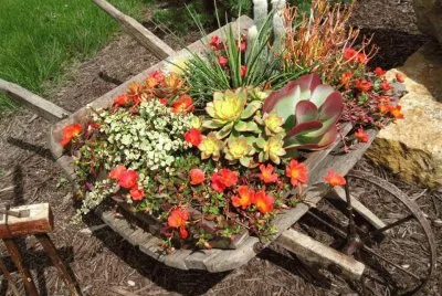 פאזל של paisaje