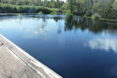 Lille Mosse nature reserve