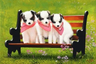 amigos
