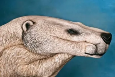 curiositÃ 