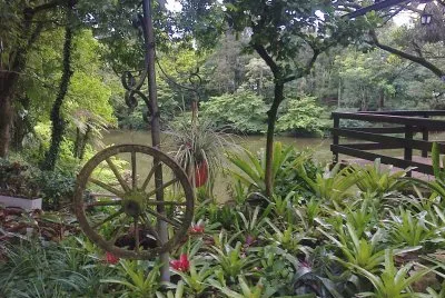 Vegetaçao Gaucha - RS