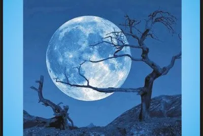 ÃRBOLES Y LUNA. jigsaw puzzle