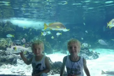aquarium jigsaw puzzle