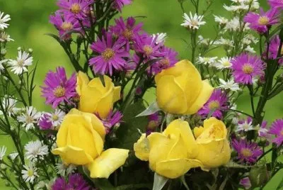 flor