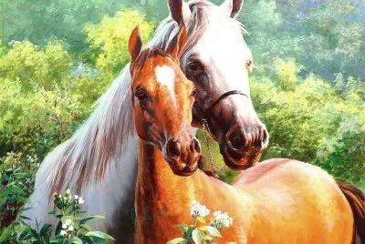 cavalos