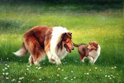 cÃ£es