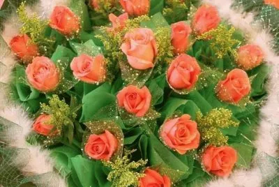 rosas