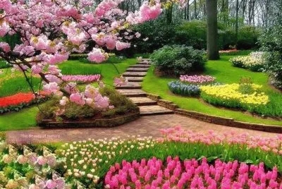 jardim