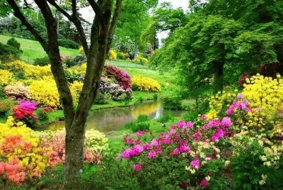 jardim
