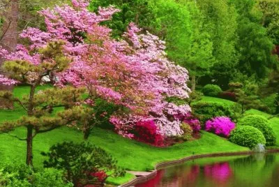 lago
