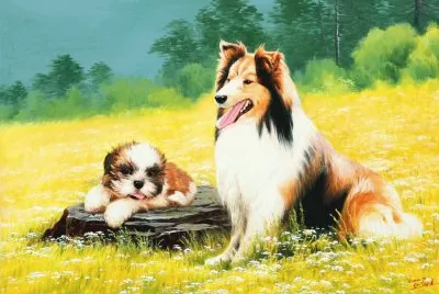 cÃ£es
