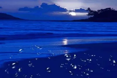 buenos atardeceres