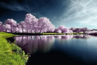 paisaje