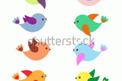 pajaros