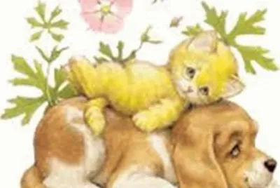 gatito y perrito