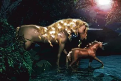 Unicornios en el agua a la noche