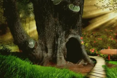 Cueva en un arbol