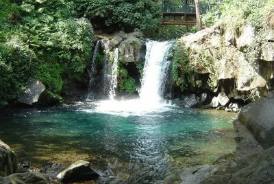 naturaleza jigsaw puzzle
