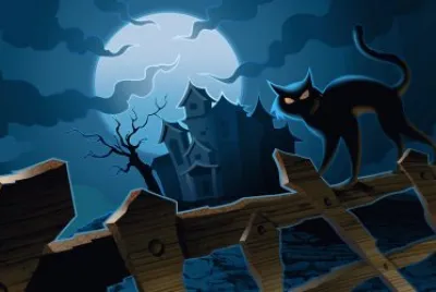 פאזל של gatto nero