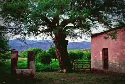 Tomada en Chaquiago. Catamarca. Argentina