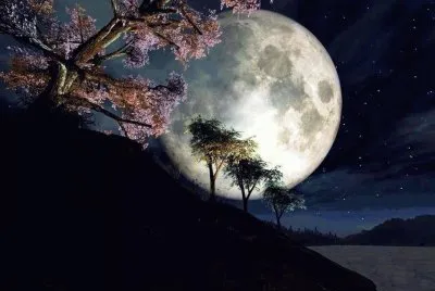 paisagem