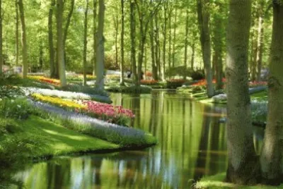 jardin jigsaw puzzle