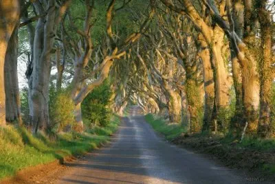 paisaje jigsaw puzzle