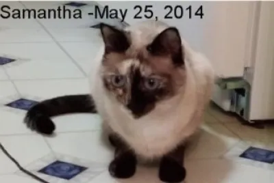 Samantha