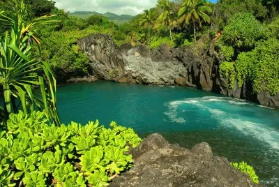 naturaleza jigsaw puzzle