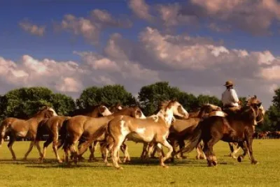 Tomada en San Antonio de Areco. Bs. As.- Argentina jigsaw puzzle