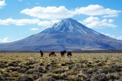 VolcÃ¡n Tromen. NeuquÃ©n. Argentina jigsaw puzzle