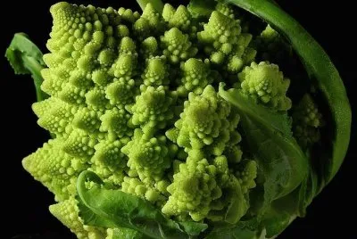 Broccoli Fractal
