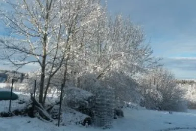 Hiver jigsaw puzzle