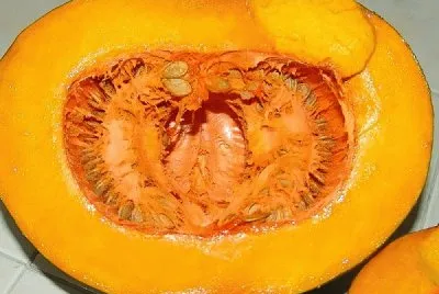 CALABAZA. jigsaw puzzle