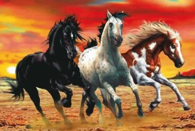 variado jigsaw puzzle
