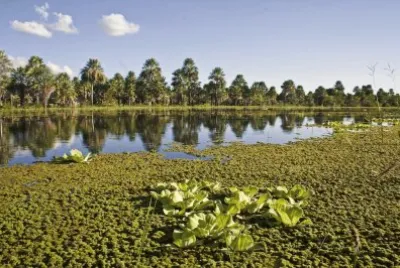 San Fernando. Chaco. Argentina