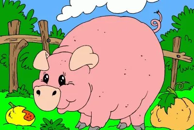 ANIMALES - CERDO
