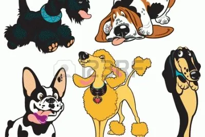 perros