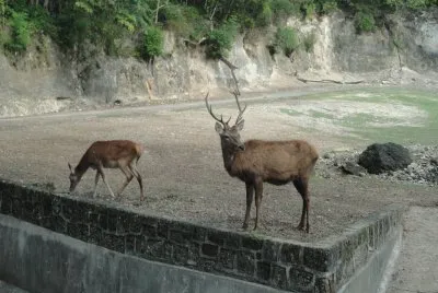 zoologico