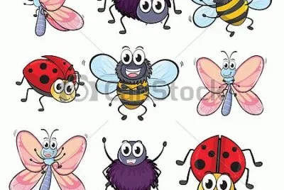 mariposas jigsaw puzzle