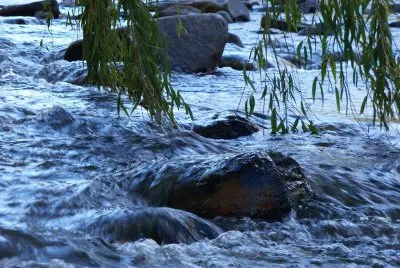 RÃ­o Paso Cabral. CÃ³rdoba. Argentina jigsaw puzzle
