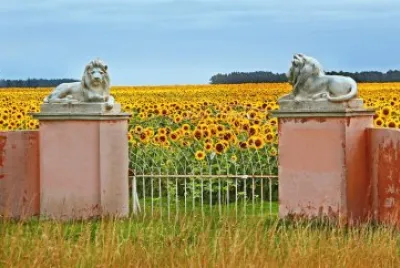 Partido de Gral. Alvarado. Buenos Aires. Argentina jigsaw puzzle