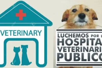 JUSTA INVITACIÃ“N. jigsaw puzzle