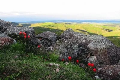 Sierra de Ancasti. Catamarca. Argentina jigsaw puzzle