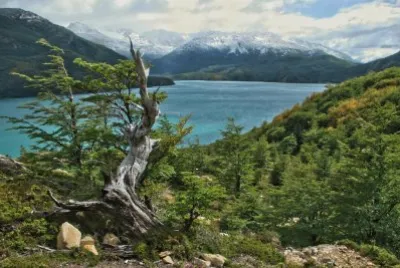 Lago del Desierto. Patagonia argentina jigsaw puzzle