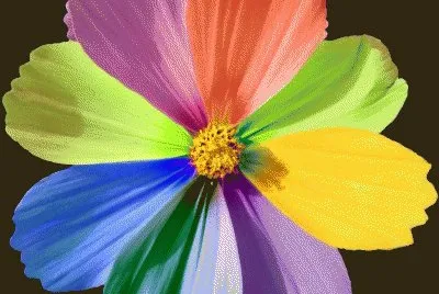 jolies couleurs